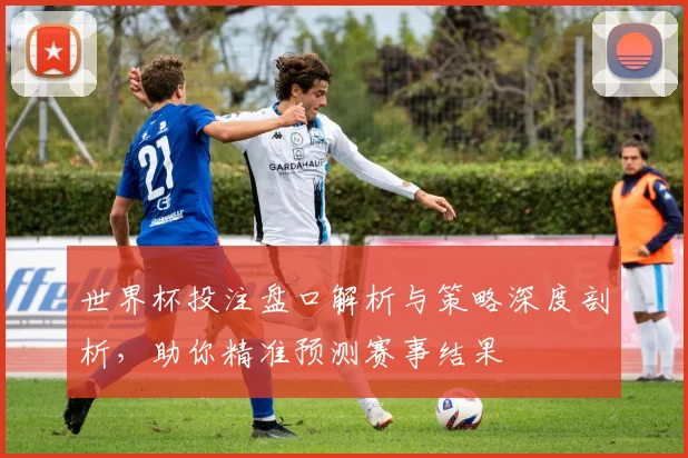 世界杯投注盘口解析与策略深度剖析，助你精准预测赛事结果