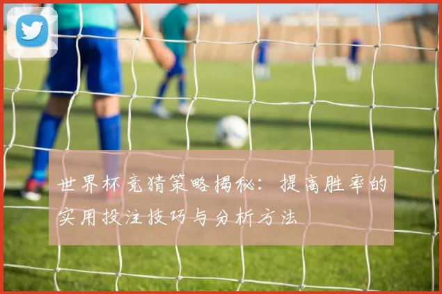 世界杯竞猜策略揭秘：提高胜率的实用投注技巧与分析方法
