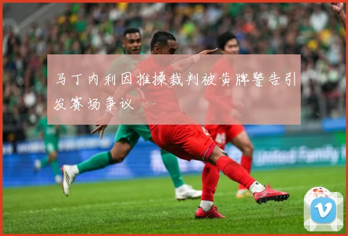 马丁内利因推搡裁判被黄牌警告引发赛场争议