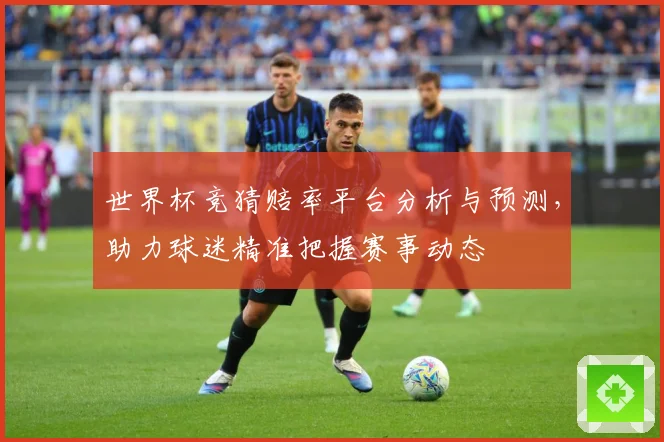 世界杯竞猜赔率平台分析与预测，助力球迷精准把握赛事动态