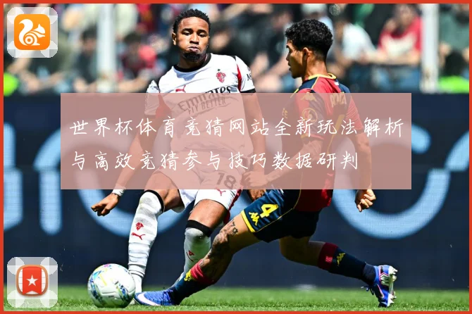 世界杯体育竞猜网站全新玩法解析与高效竞猜参与技巧数据研判