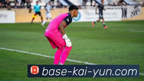 开云官网全站App